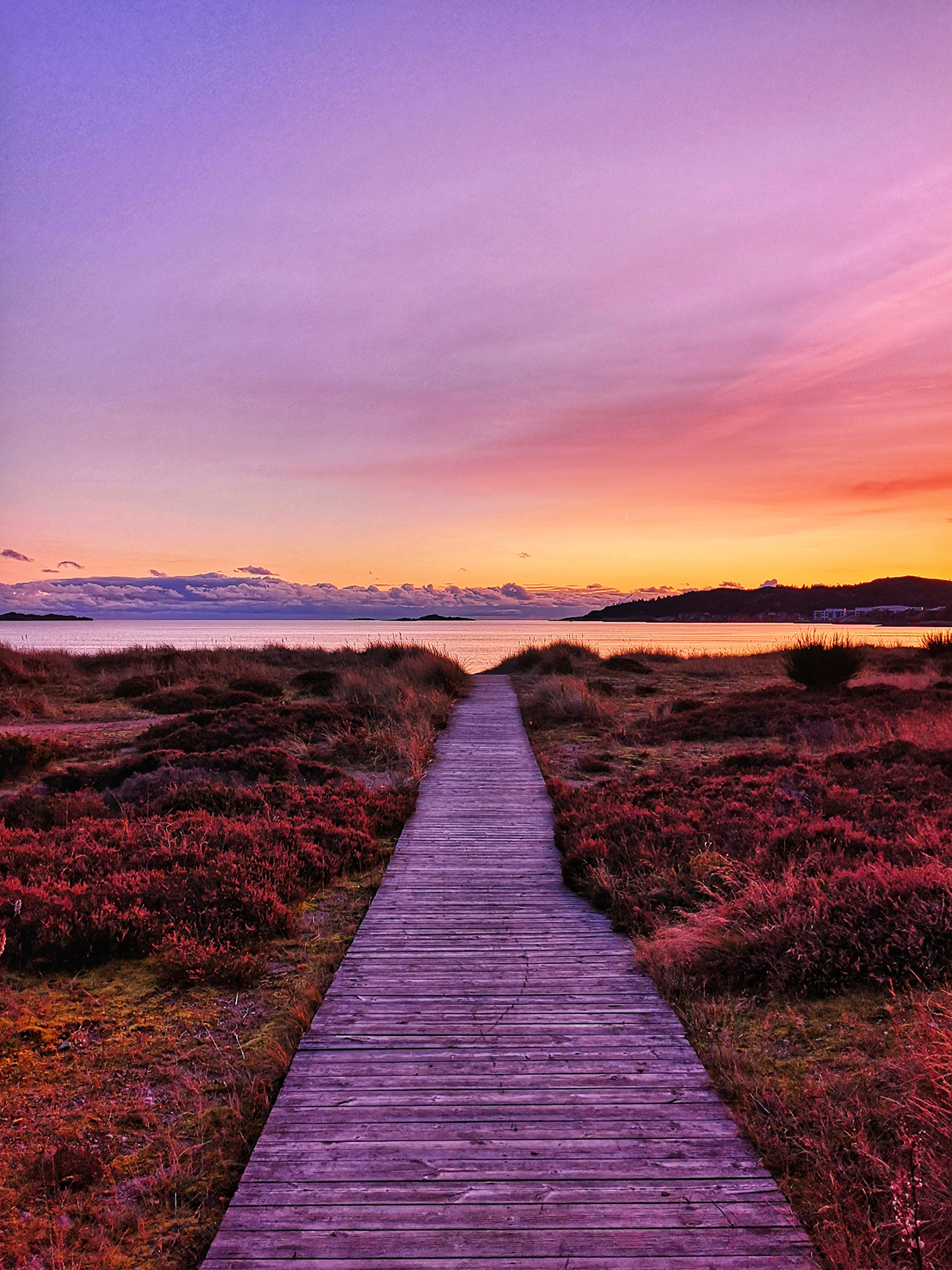 Christina Frøysland1